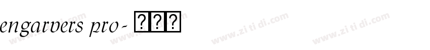 engarvers pro字体转换